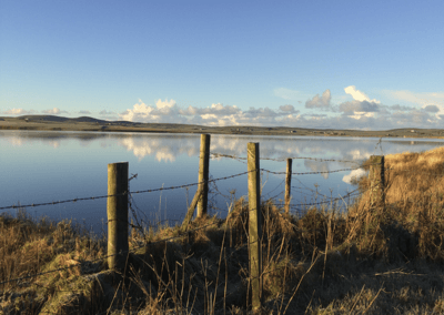 Loch of Harray fenceline